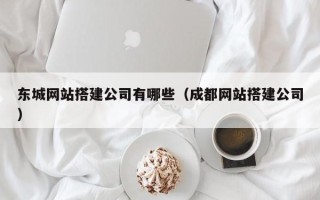 渭南东城网站搭建公司有哪些（成都网站搭建公司）